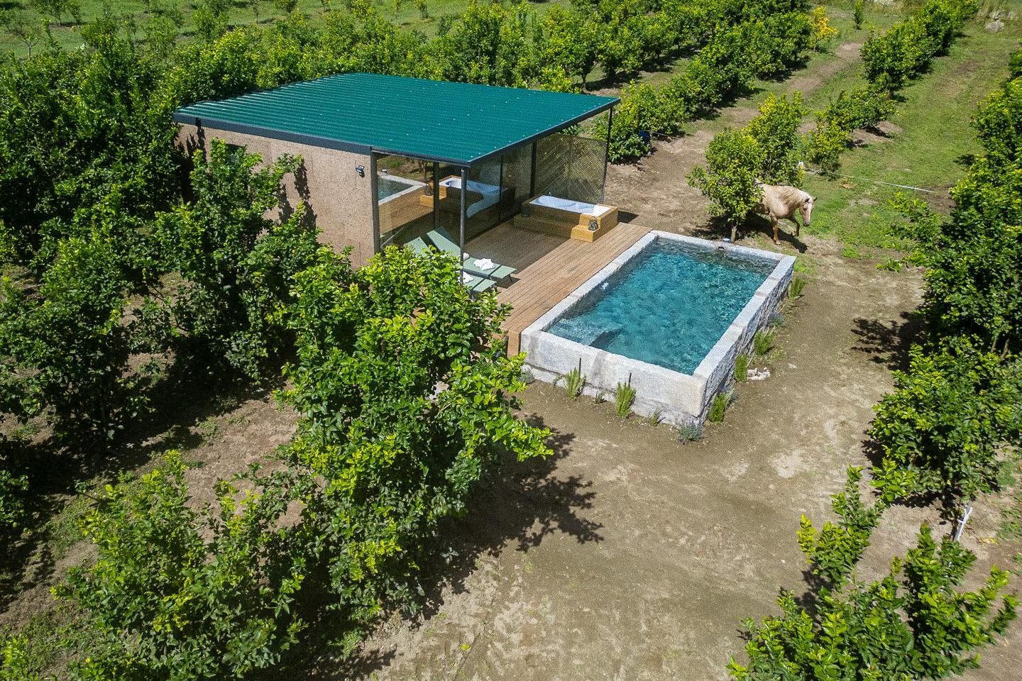 Alpendre dos Limões (airbnb res) - 78-fotor-20260911154334