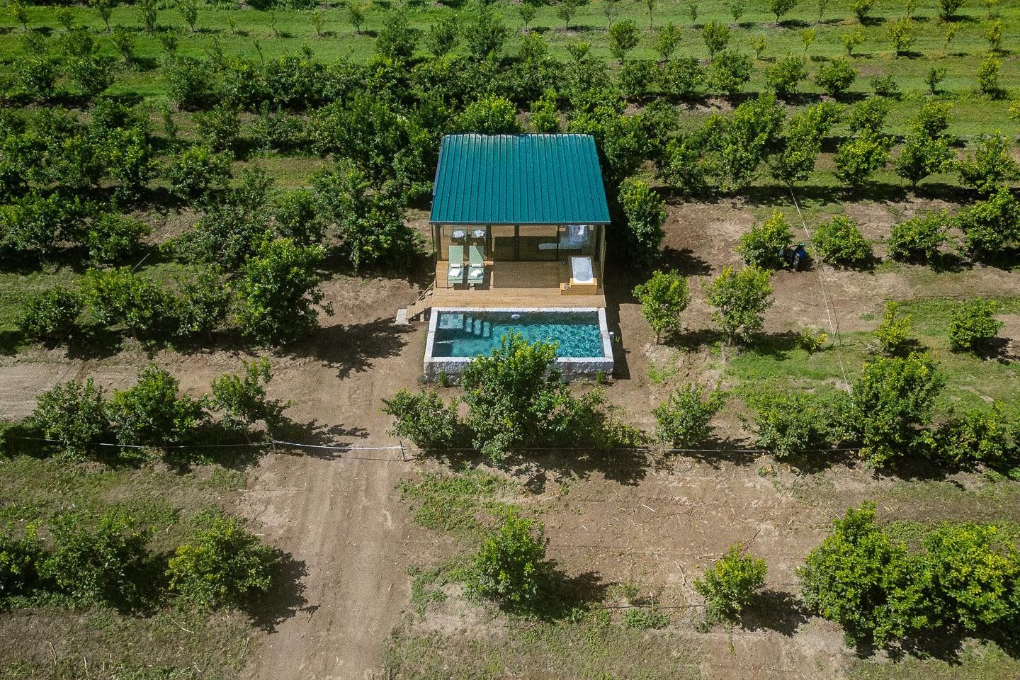 Alpendre dos Limões (airbnb res) - 81-fotor-2026091115420